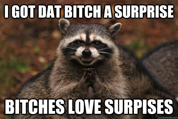 I GOT DAT BITCH A SURPRISE bitches love surpises  Evil Plotting Raccoon