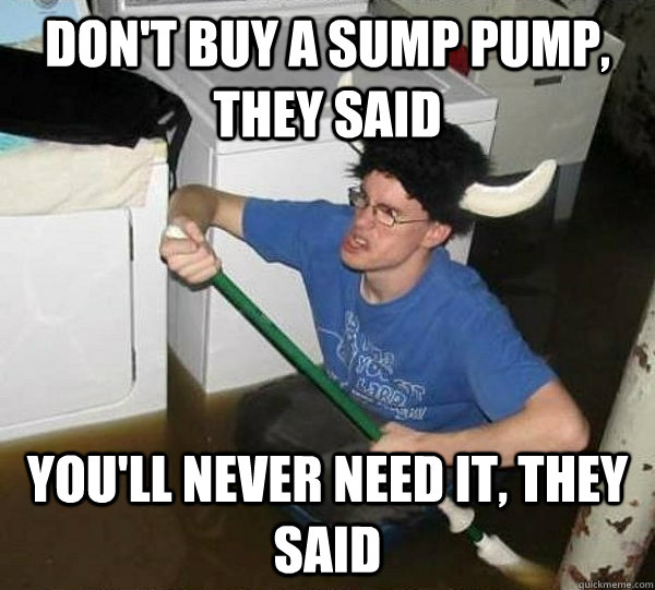 don't buy a sump pump, they said you'll never need it, they said - don't buy a sump pump, they said you'll never need it, they said  They said