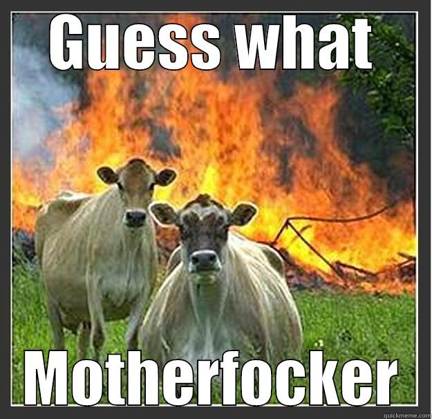 Chemistry Cat  - GUESS WHAT MOTHERFOCKER Evil cows