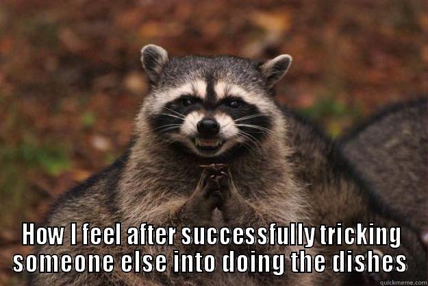  HOW I FEEL AFTER SUCCESSFULLY TRICKING SOMEONE ELSE INTO DOING THE DISHES  Evil Plotting Raccoon