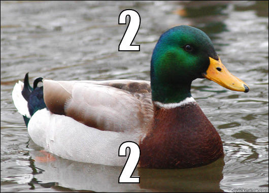 2 2 Actual Advice Mallard