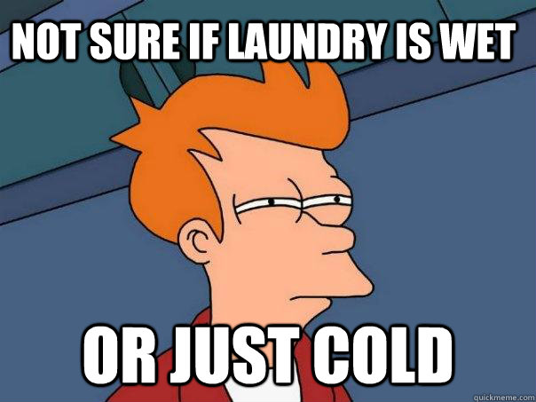 Not sure if laundry is wet Or just cold  Futurama Fry