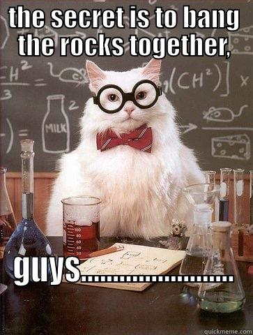 THE SECRET IS TO BANG THE ROCKS TOGETHER, GUYS........................ Chemistry Cat