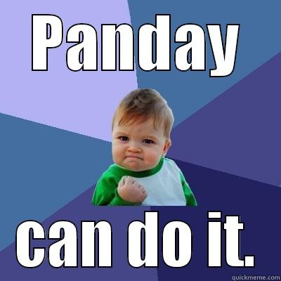 You can do it! - PANDAY CAN DO IT. Success Kid
