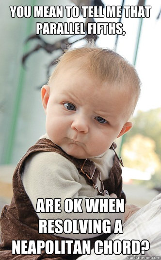 You mean to tell me that parallel fifths, Are ok when resolving a Neapolitan chord? - You mean to tell me that parallel fifths, Are ok when resolving a Neapolitan chord?  skeptical baby