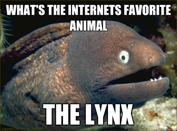 what's the internets favorite animal the lynx  Bad Joke Eel