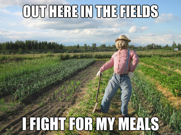 Out here in the fields I fight for my meals  Scarecrow