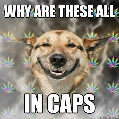 WHY ARE THESE ALL IN CAPS  Stoner Dog