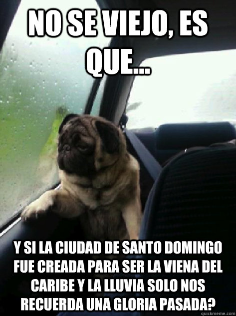 No se viejo, es que... y si la ciudad de santo domingo fue creada para ser la viena del caribe y la lluvia solo nos recuerda una gloria pasada?  Introspective Pug