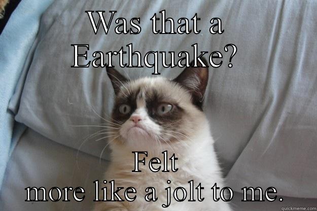 WAS THAT A EARTHQUAKE? FELT MORE LIKE A JOLT TO ME. Grumpy Cat