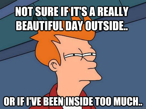 Not sure if it's a really beautiful day outside.. Or if I've been inside too much..  Futurama Fry