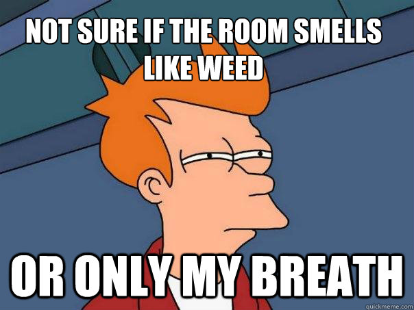 Not sure if the room smells like weed or only my breath  Futurama Fry