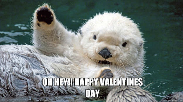 oh hey!! happy valentines day  