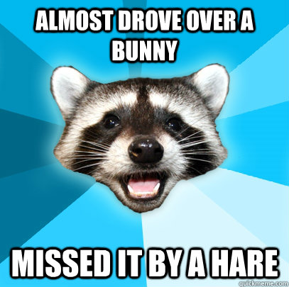 ALMOST DROVE OVER A BUNNY MISSED IT BY A HARE  Lame Pun Coon