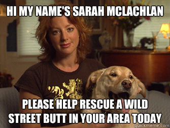 Hi my name's Sarah Mclachlan please help rescue a wild street butt in your area today  Sarah Mclachlan