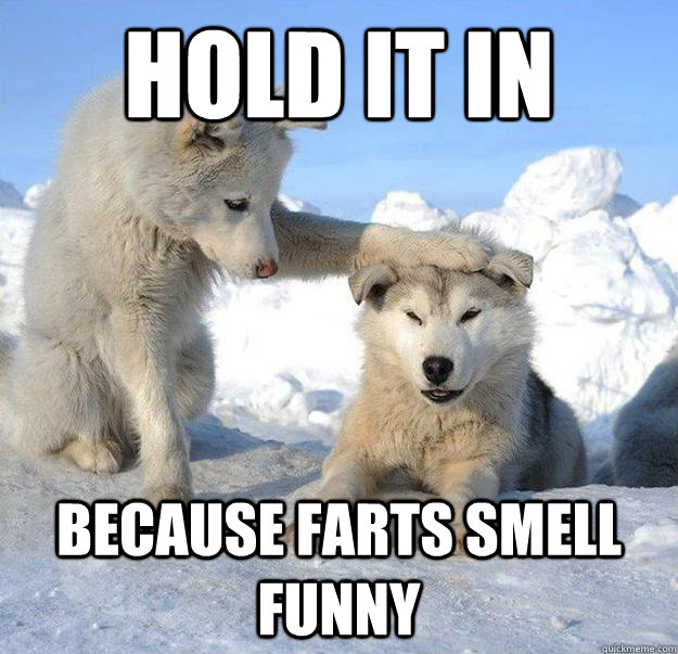 hold it in  because farts smell funny  Caring Husky