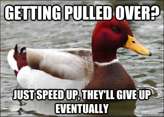 getting pulled over? just speed up, they'll give up eventually  Malicious Advice Mallard