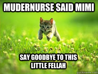 MuderNurse said mimi say goodbye to this little fellah  