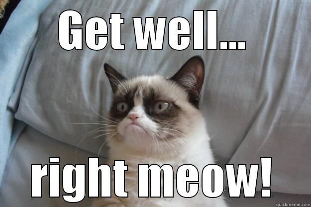 right meow - GET WELL... RIGHT MEOW! Grumpy Cat