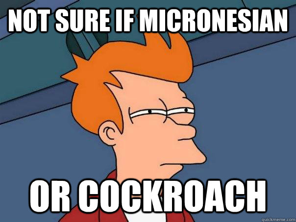 Not sure if micronesian Or cockroach  Futurama Fry