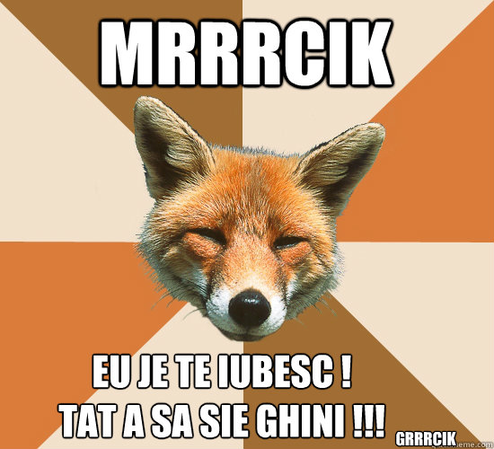 Mrrrcik Eu je te iubesc !
Tat a sa sie ghini !!! Grrrcik  Condescending Fox