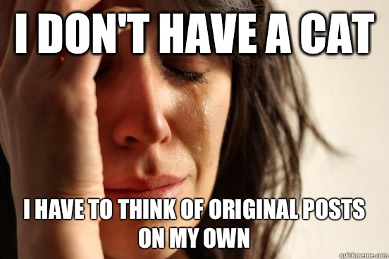 I don't have a cat I have to think of original posts on my own  First World Problems