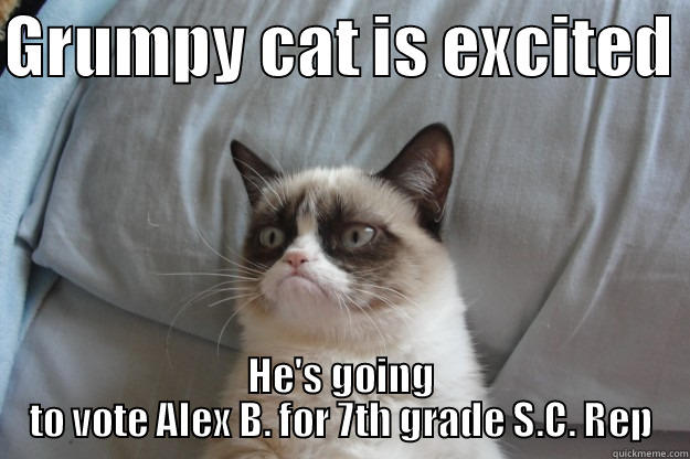 GRUMPY CAT IS EXCITED  HE'S GOING TO VOTE ALEX B. FOR 7TH GRADE S.C. REP Grumpy Cat