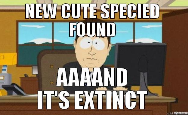 NEW CUTE SPECIED FOUND AAAAND IT'S EXTINCT aaaand its gone