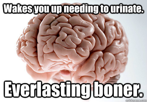 Wakes you up needing to urinate. Everlasting boner. - Wakes you up needing to urinate. Everlasting boner.  Scumbag Brain