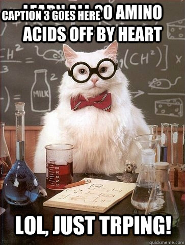 Learn all 20 amino acids off by heart Lol, just trping! Caption 3 goes here  Chemistry Cat