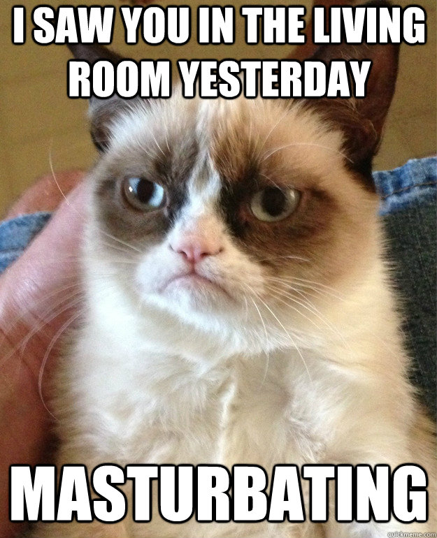 I saw you in the living room yesterday Masturbating  Grumpy Cat