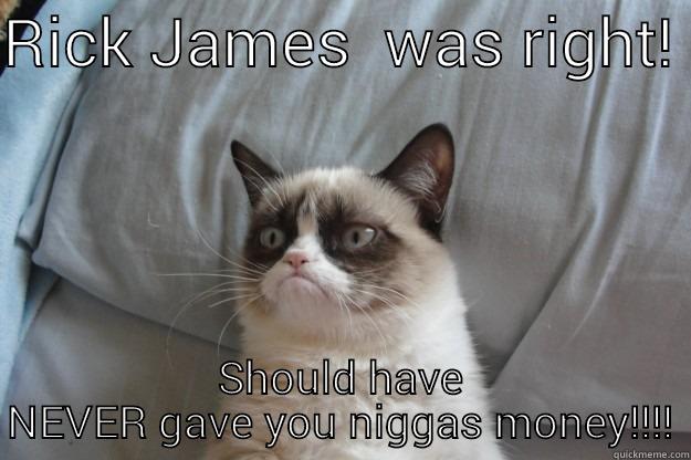 RICK JAMES  WAS RIGHT!  SHOULD HAVE NEVER GAVE YOU NIGGAS MONEY!!!! Grumpy Cat