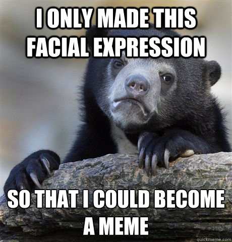 I only made this facial expression so that i could become a meme  Confession Bear