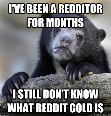 I've been a Redditor for months I still don't know what Reddit Gold is  Confession Bear