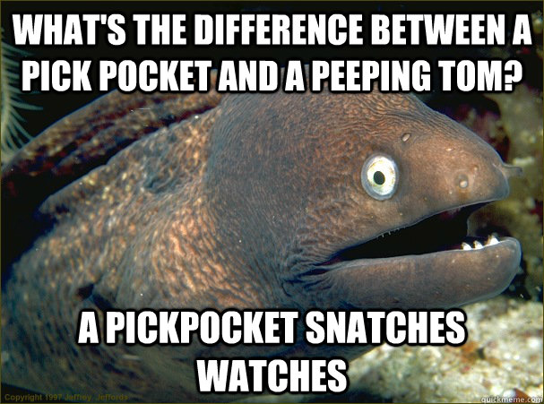 what's the difference between a pick pocket and a peeping tom? A PICKPOCKET SNATCHES WATCHES  Bad Joke Eel