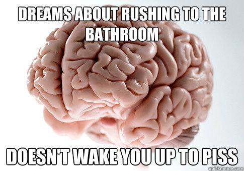 dreams about rushing to the bathroom doesn't wake you up to piss  Scumbag Brain