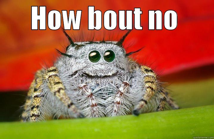 cute spider  - HOW BOUT NO  Misc