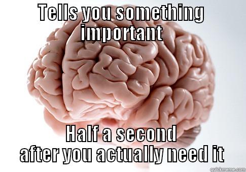 TELLS YOU SOMETHING IMPORTANT HALF A SECOND AFTER YOU ACTUALLY NEED IT Scumbag Brain