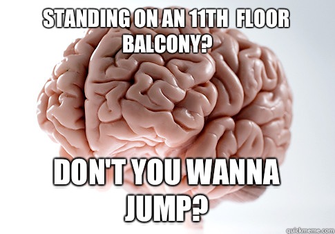 Standing on an 11th  floor balcony? Don't you wanna jump?  Scumbag Brain