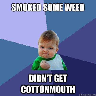 smoked some weed didn't get cottonmouth - smoked some weed didn't get cottonmouth  Success Kid