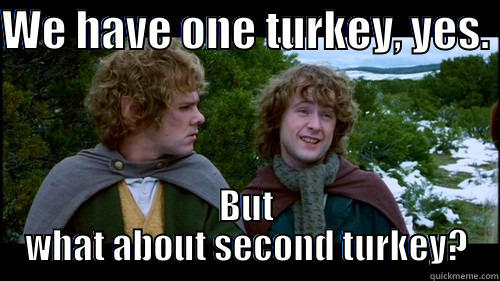 more turkey - WE HAVE ONE TURKEY, YES.  BUT WHAT ABOUT SECOND TURKEY? Misc