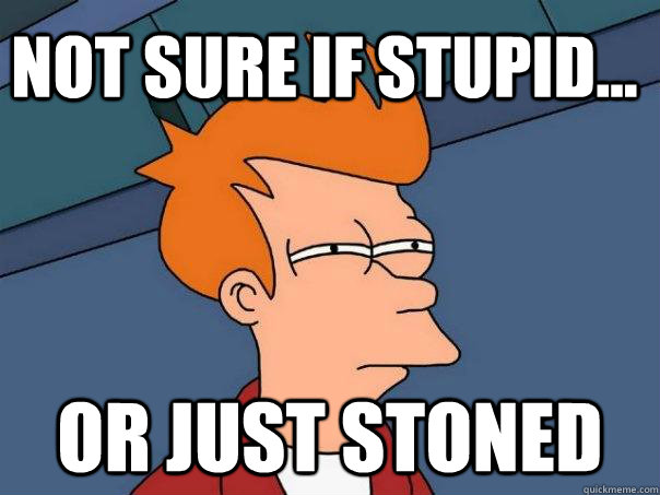 not sure if stupid... or just stoned - not sure if stupid... or just stoned  Futurama Fry