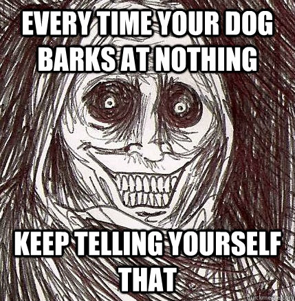 Every time your dog barks at nothing keep telling yourself that