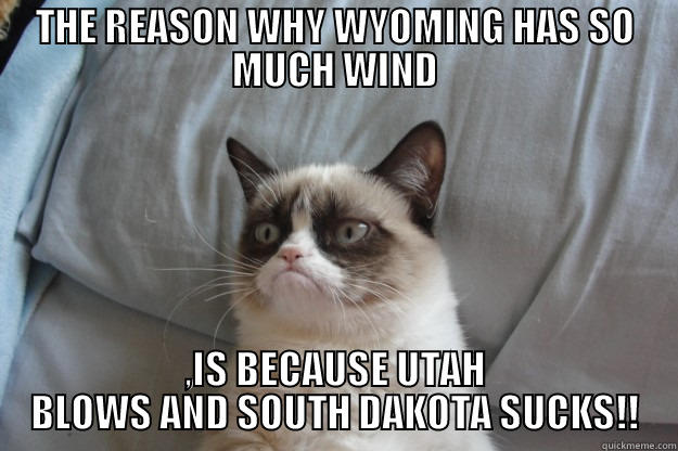 THE REASON WHY WYOMING HAS SO MUCH WIND ,IS BECAUSE UTAH BLOWS AND SOUTH DAKOTA SUCKS!! Grumpy Cat