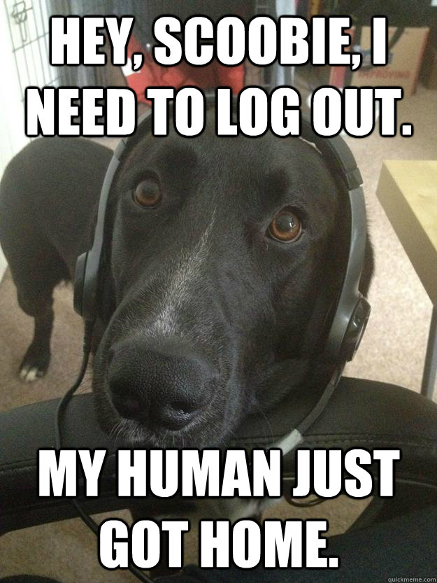 Hey, Scoobie, I need to log out. My Human just got home.  Gamer Dog