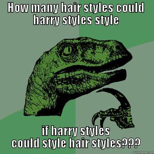 HOW MANY HAIR STYLES COULD HARRY STYLES STYLE IF HARRY STYLES COULD STYLE HAIR STYLES??? Philosoraptor