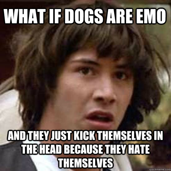 what if dogs are emo and they just kick themselves in the head because they hate themselves  conspiracy keanu