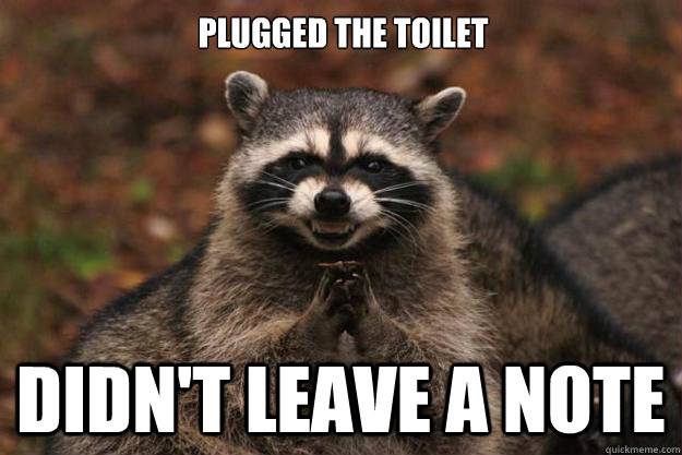 Plugged the toilet Didn't leave a note  Evil Plotting Raccoon