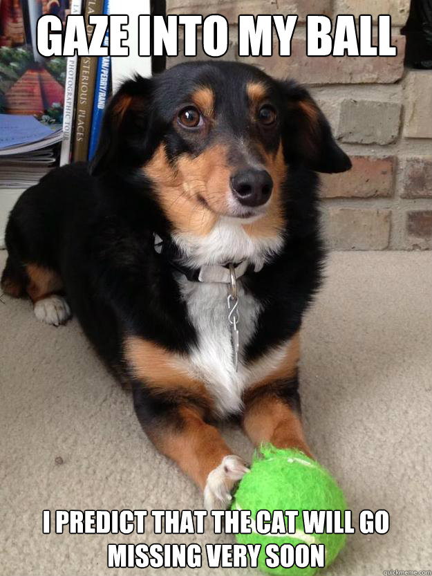 gaze into my ball i predict that the cat will go missing very soon  