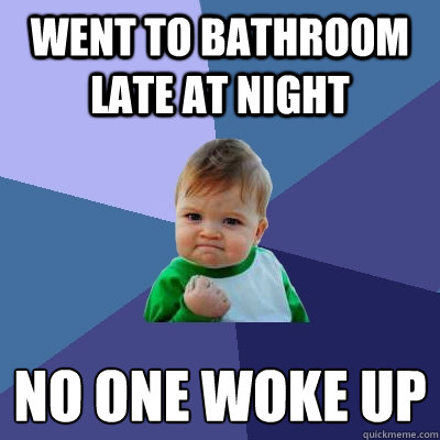 went to bathroom late at night no one woke up
  Success Kid